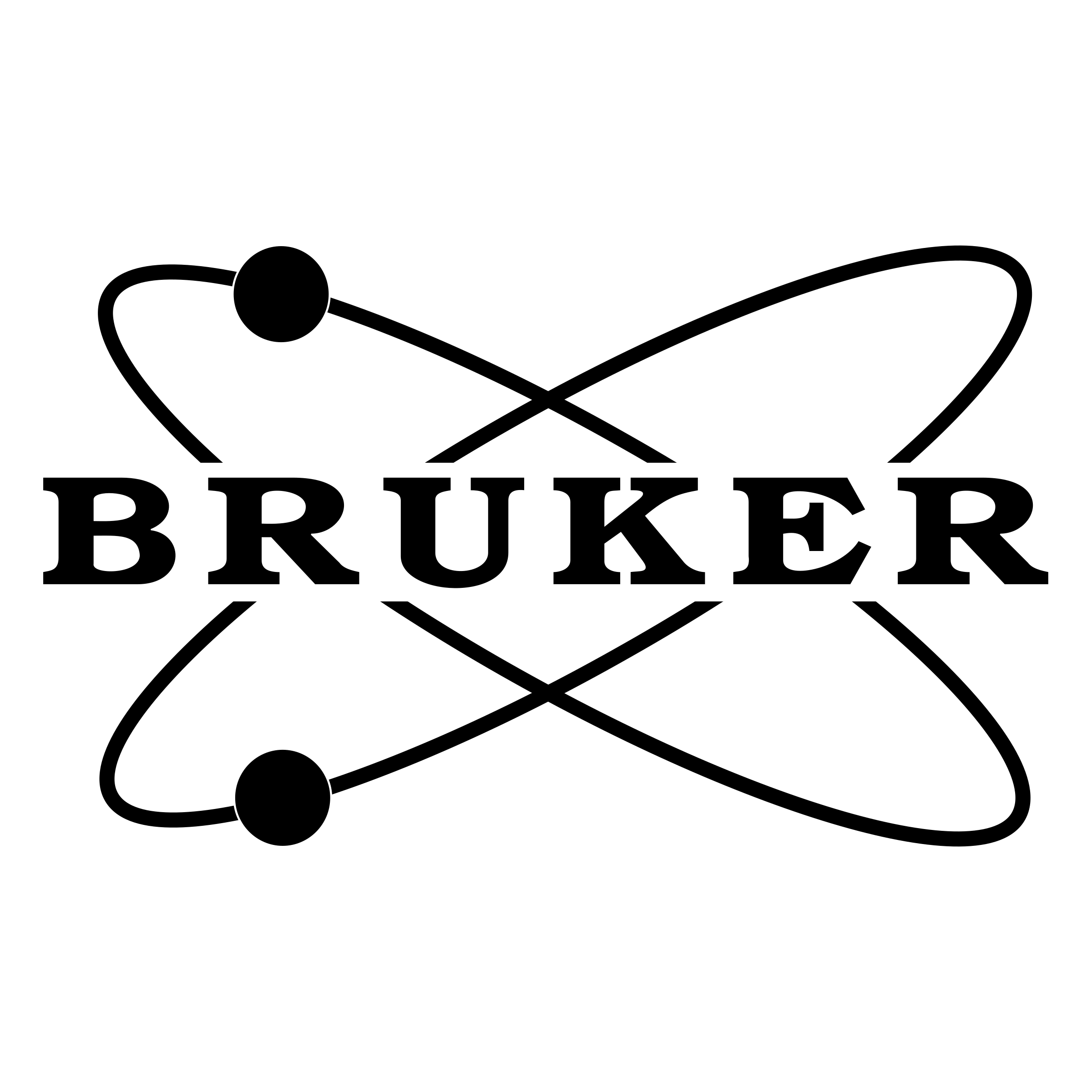 Bruker Corporation logo