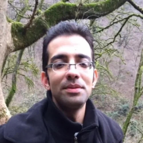 Mahmoud Behzadirad